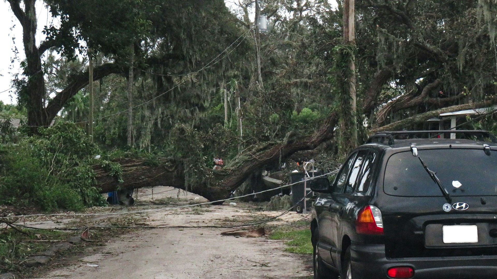 A car parked in front of a fallen tree